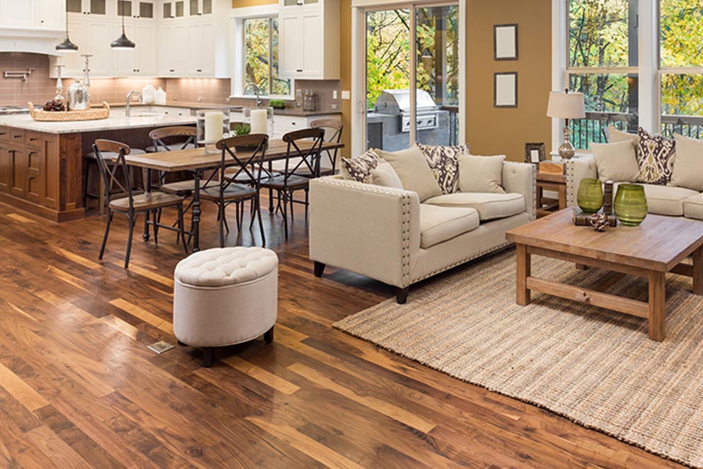 Wood and Laminate Floor Cleaning